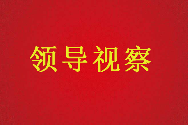 陜西省國土資源廳廳長盧勇一行來不動產(chǎn)登記服務中心調研、指導工作