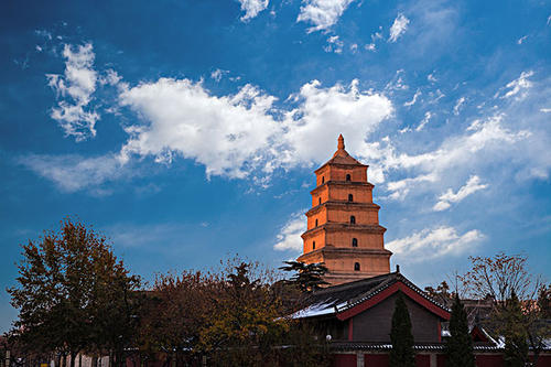 賞曲江美景，體驗中國年
