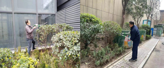 春風得意修綠化，打造宜居新環(huán)境